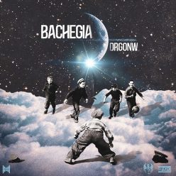 DRGONW  –   Bachegia